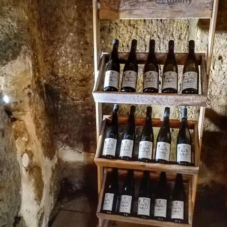 U Skaly By Interhome Horni Vidim